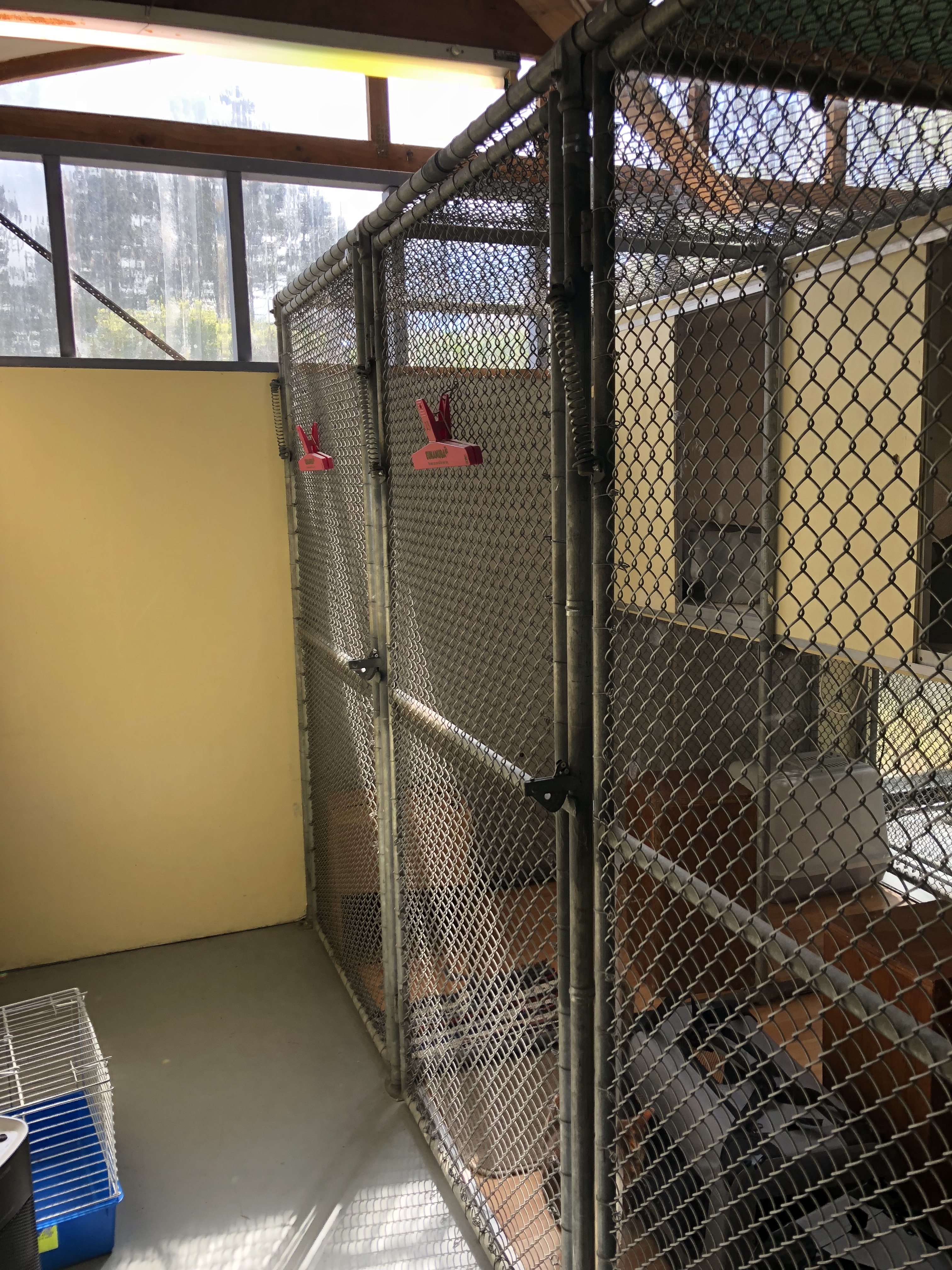 Qualified Pet Services Quarantine Cattery