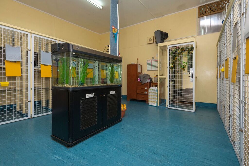 Auckland Cattery Qualified Pet Services